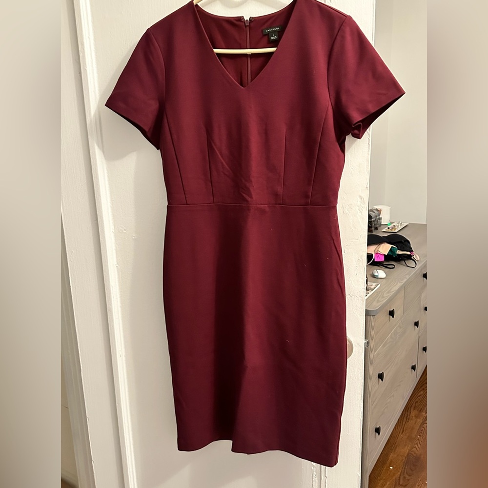 Ann Taylor Sheath - sz 6